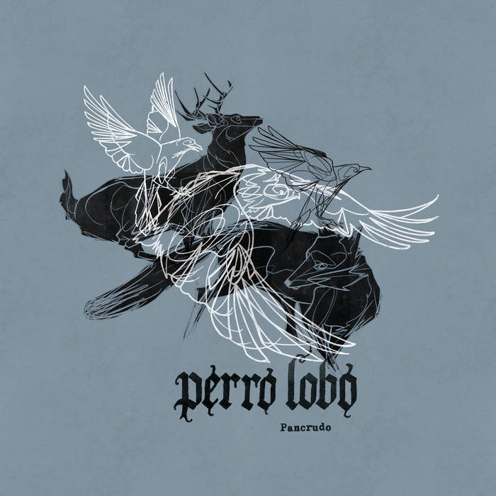 PERRO LOBO - Pancrudo