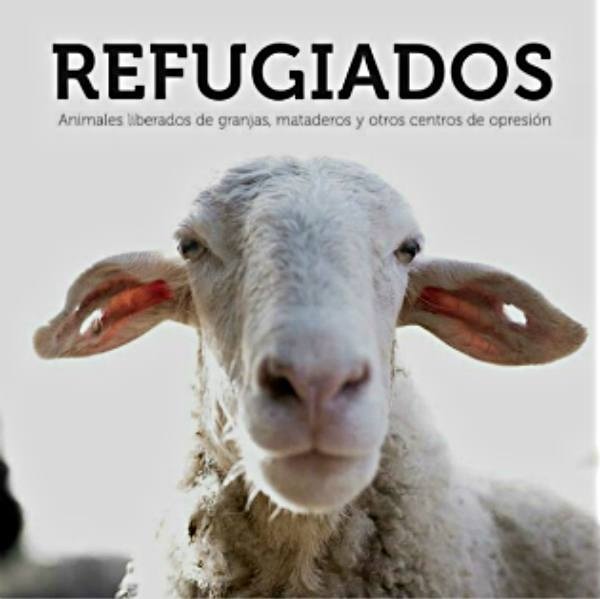 Refugiados