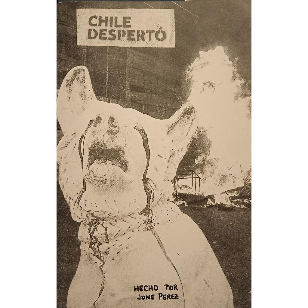 CHILE DESPERTÓ