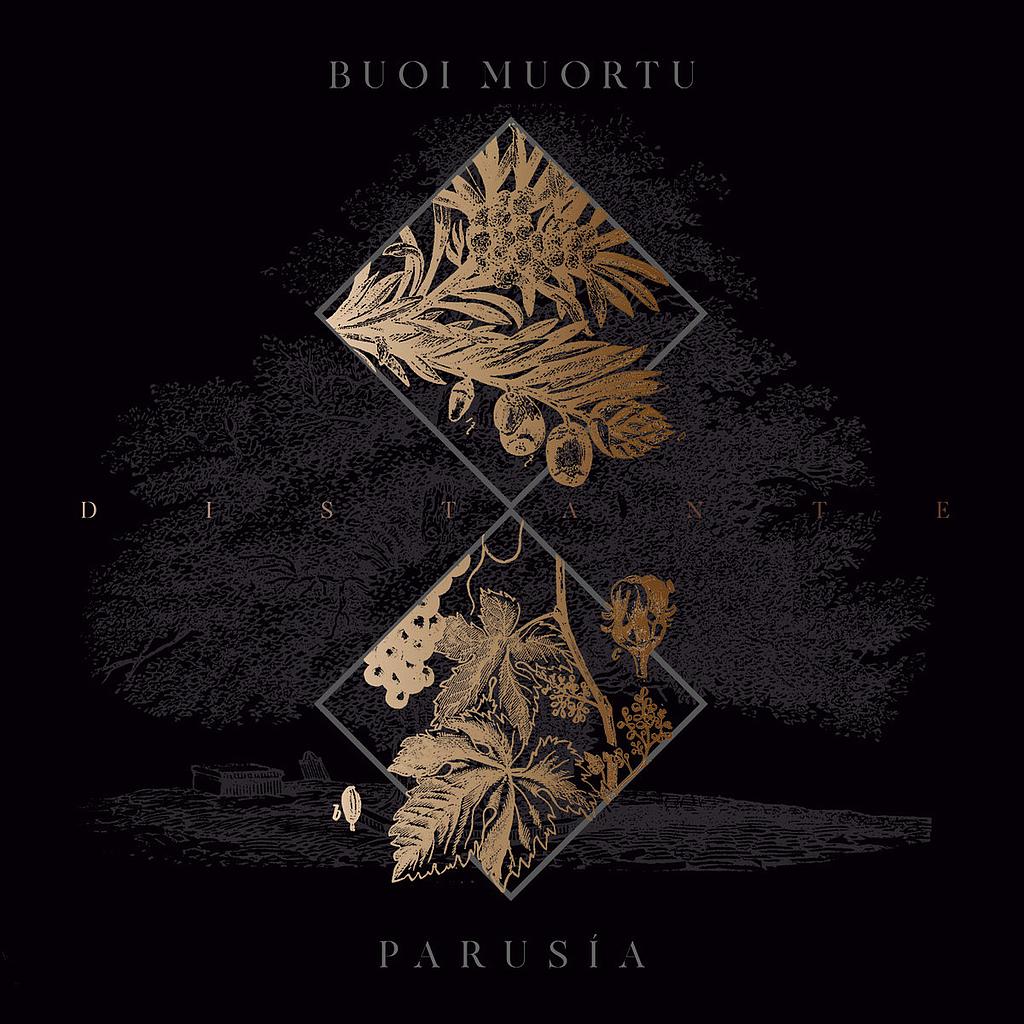 Buoi Muortu - Parusia