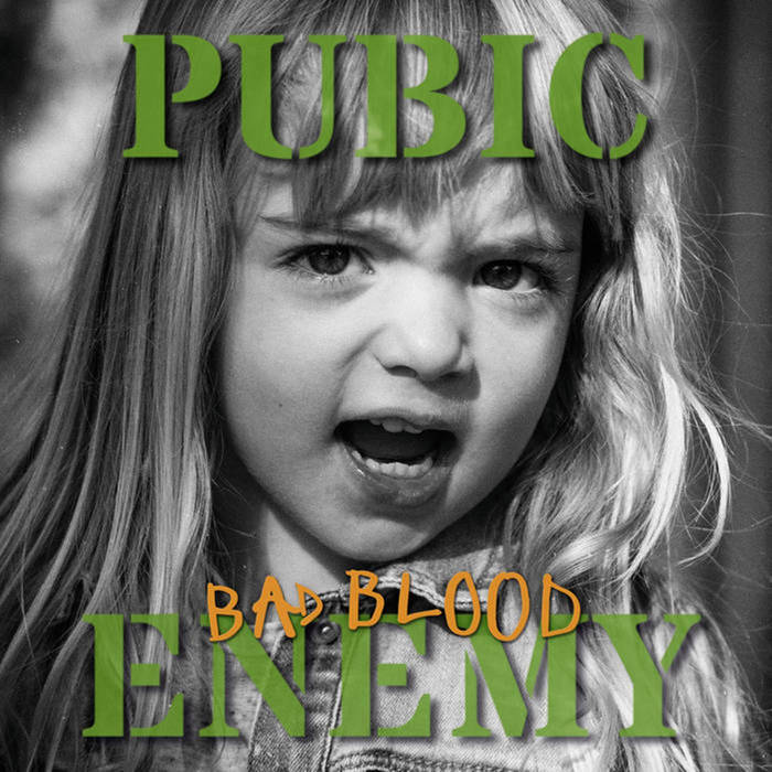 Pubic Enemy-Bad Blood