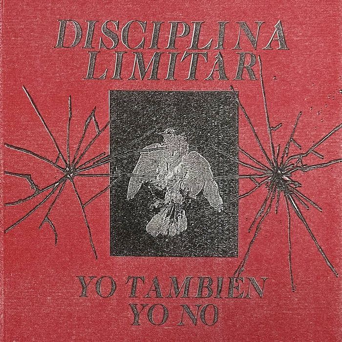 DISCIPLINA LIMITAR - Yo también yo no