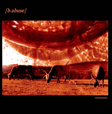 [DD-LP0135] B.ABUSE. CONNEMARA.