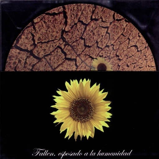 [DD-LP0559] FALLEN - Esposado a la humanidad