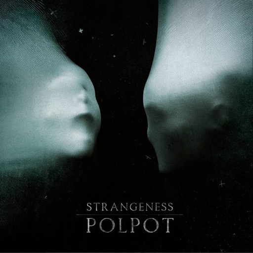 [DD-LP3053] POL POT / Strangeness