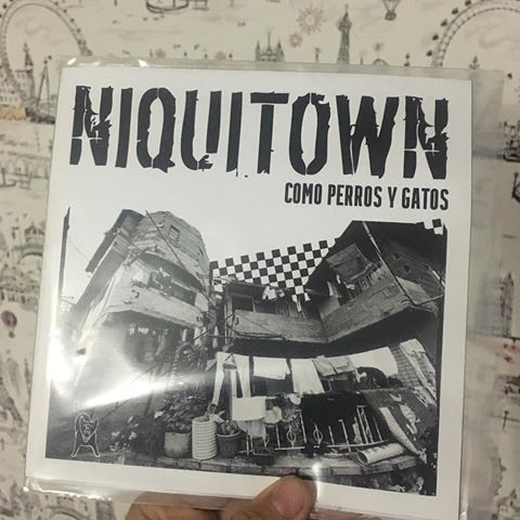 [DD-SG3074] Niquitown - Como perros y gatos