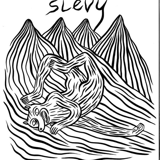 [DD-LP3239] Slevy - Vol. 1
