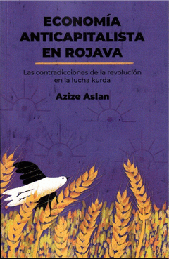 [9786075257754] Economía anticapitalista en Rojava