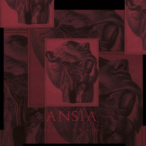 [DD-LP3809] Ansïa - Leviatán