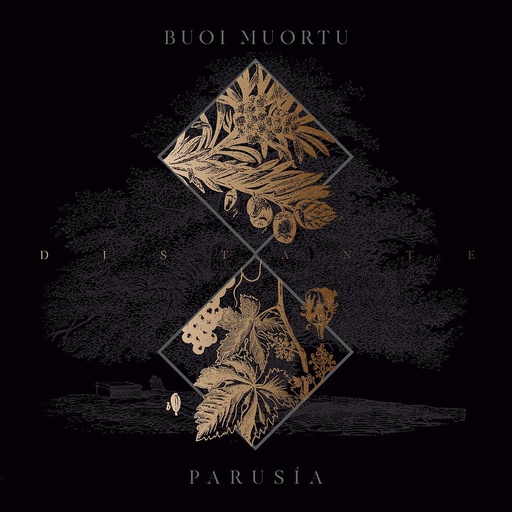 [DD-LP3820] Buoi Muortu - Parusia