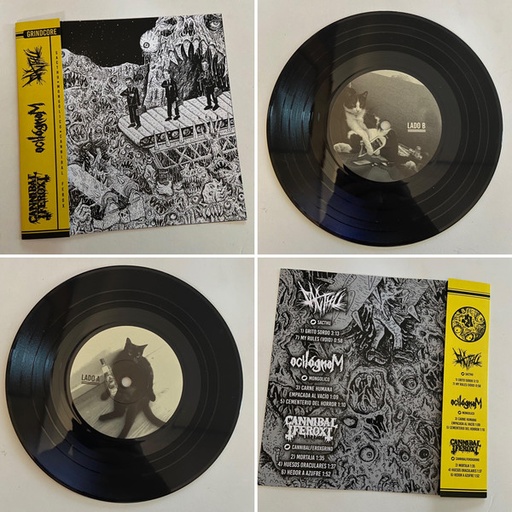 [DD-SG3246] Sacthu / Mongólico / Cannibal