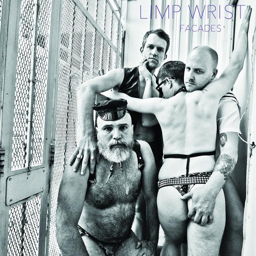 [DD-LP3974] LIMP WRIST - FACADES