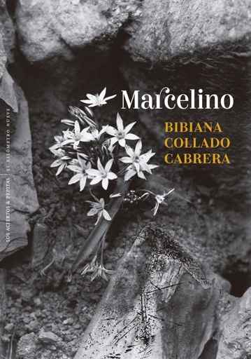 [978-84-10476-43-1] Marcelino